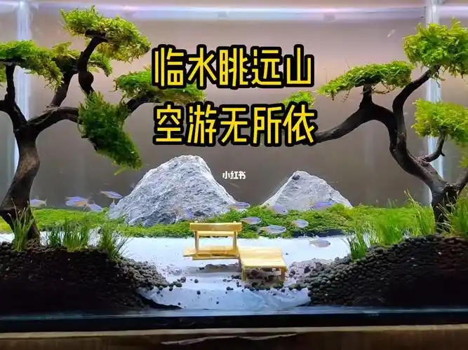 这个鱼缸太有意思临水远眺看山水鱼缸造景