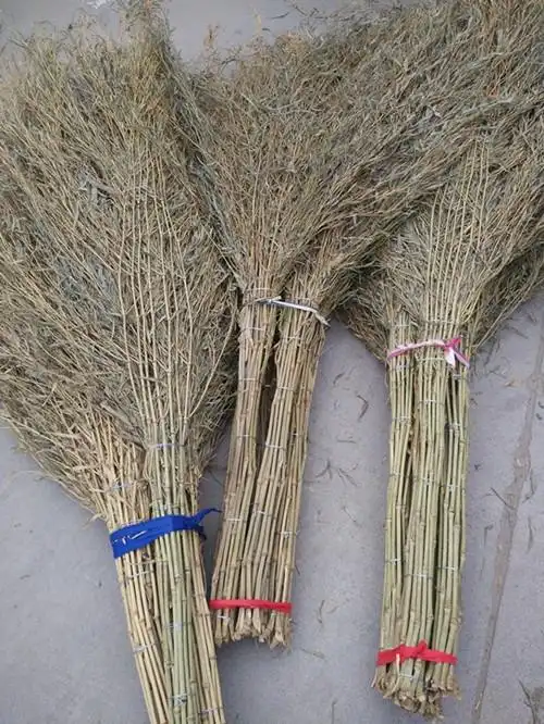 环卫扫把笤帚扫帚 扫马路竹扫把 大竹扫帚竹子10把