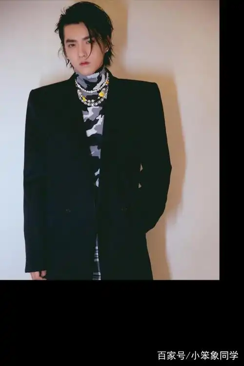雕塑般精致的五官,梳着背头刘海的吴亦凡眼神凌厉,真酷!