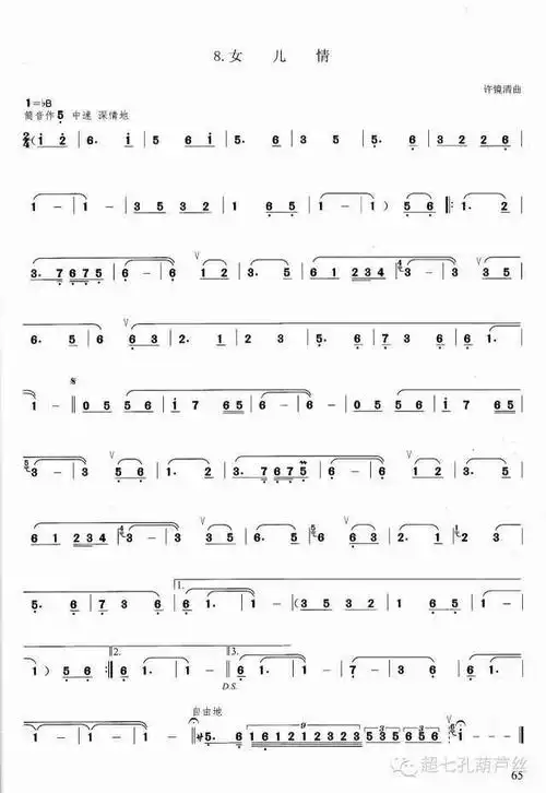 葫芦丝《女儿情》