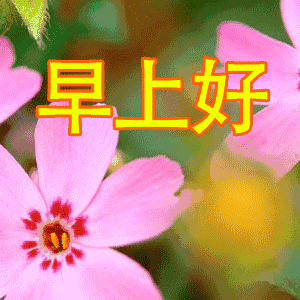 新的一天早上好的问候语早上好的祝福温馨