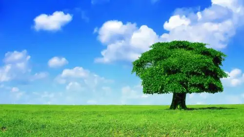 清新简约蓝天高清壁纸_还你一片干净蓝天_风景壁纸_