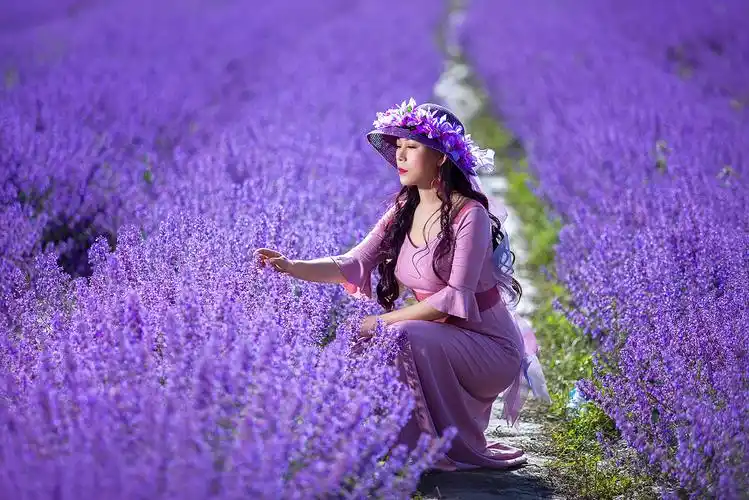 紫色光影 美成病不治