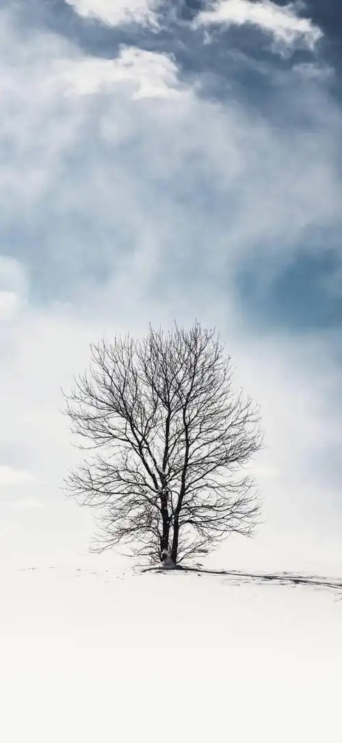 iphonex壁纸 | 抖音热门壁纸原图