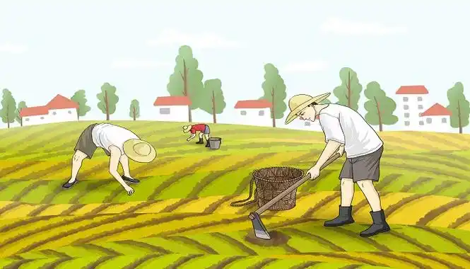 匠子生活 命理 > 正文农民梦见种地,会大丰收 梦见暴雨或大水淹没了