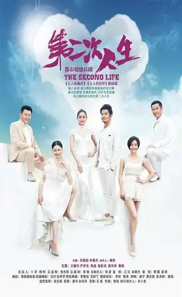 电视剧《第二次人生》分集剧情介绍及大结局剧情介绍