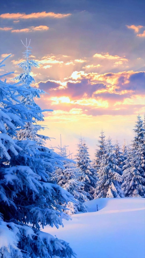 梦幻森林雪景h5背景