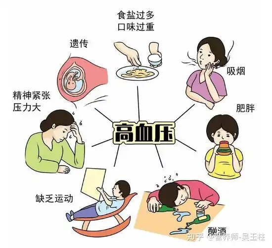 哪些因素会导致高血压