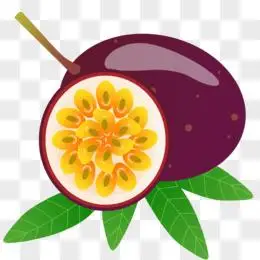 卡通手绘夏日百香果元素