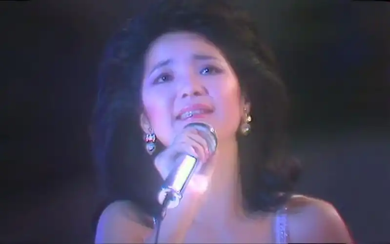 8 邓丽君15周年巡回演唱会台北站【live】