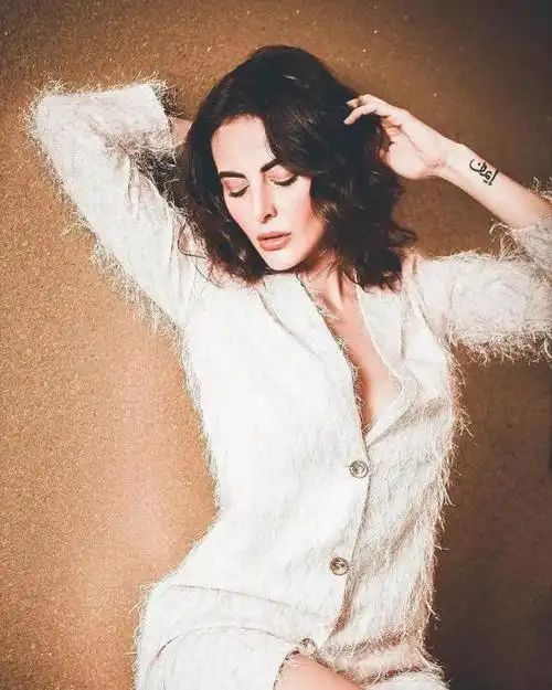 虽然是伊朗人,但她主要在印度发展,宝莱坞女演员.