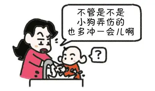 狂犬病 请滚蛋!决不让宝宝粘上你!