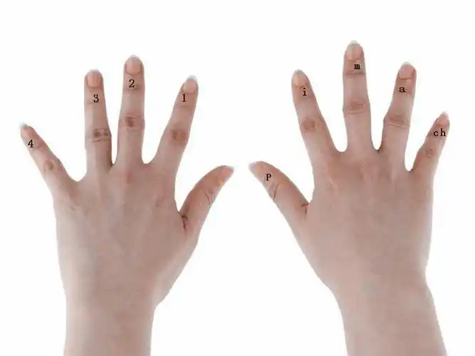 右手的姿势及左右手代码