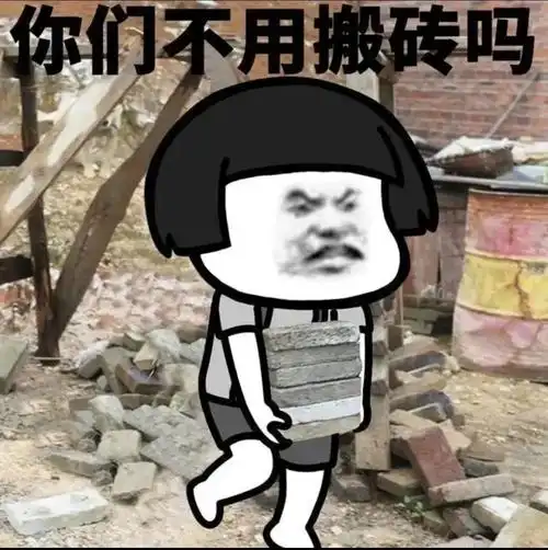 奇了怪了你们都不用搬砖吗表情