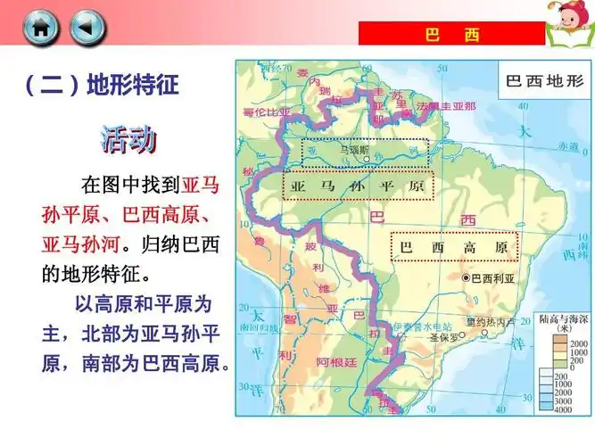 归纳巴西 的地形特征.