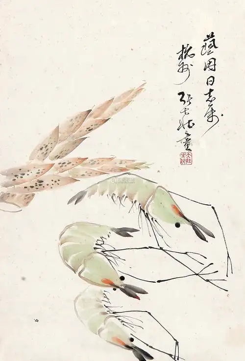 张大壮 (1903-1980) 虾 设色纸本镜片