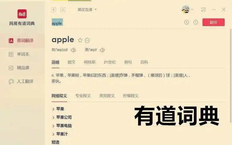 有道词典和有道翻译官有什么区别?各有什么优势?