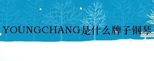 youngchang是什么牌子钢琴