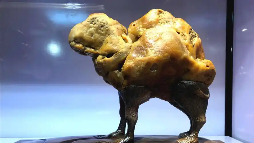 精彩绝伦黄蜡石,那些让人心动,而无法用财物衡量价值的天价绝石