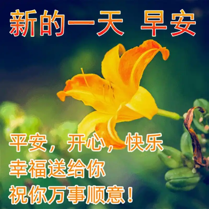 祝福大家早上好的漂亮表情图片,最美早晨好问候语图片 1. 早安!