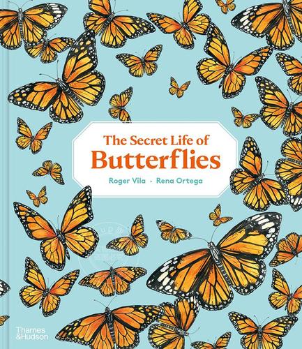 蝴蝶的秘密 英文原版 the secret life of butterflies