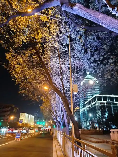 关于北京夜景的说说(北京夜景朋友圈说说) _晶羽文学网