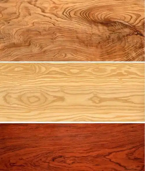 木材常用知识大全