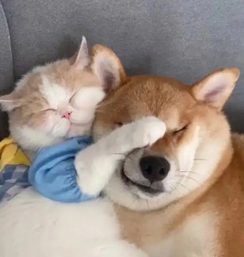 朋友圈情侣背景图4