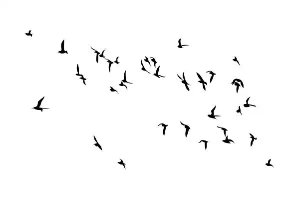 简约飞鸟小鸟剪影素材