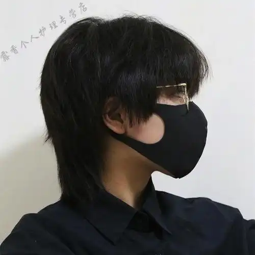 假发发型:短直发材质:高温丝长度:短发适用人群:通用色系:其他商品