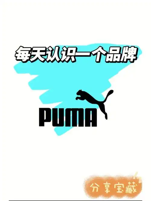 每天认识一个品牌puma