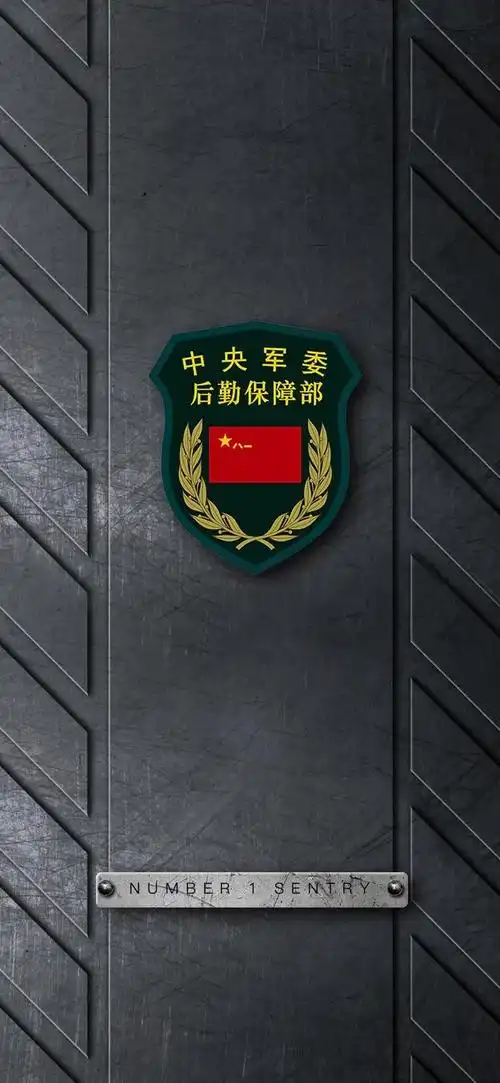 中国军人的臂章,收藏版来了!