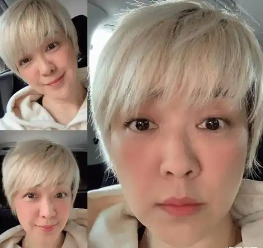 55岁陈慧娴晒短发照,铲青look超有型,公主变尼姑依然美丽_网友_年代