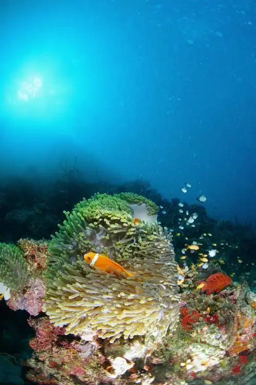 五千二百米海底深海微生物刷新人类认知