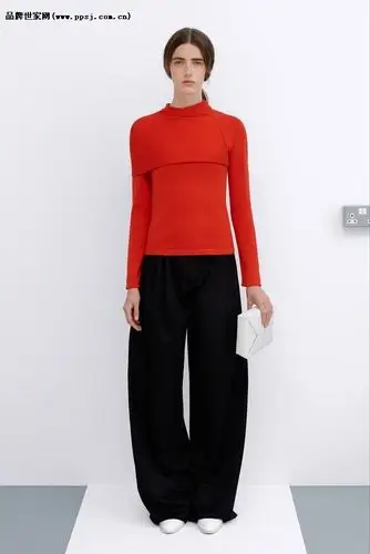 w.安德森 j.w. anderson