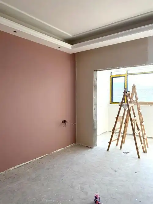 最热门的立邦网红色珊瑚 奶咖 绝对的粉色小公主96珊瑚颜色相当的正