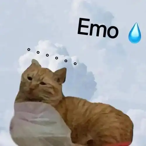 发疯搞笑的表情包:无法接受 拿图请顺便吱一声 很难有动力发图了