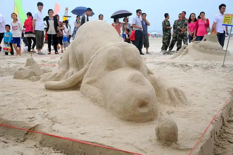 这次比赛我感觉沙雕的水平还是比往年要好了很多