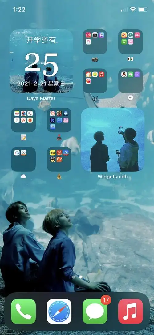 想看看苹果手机的桌面布局