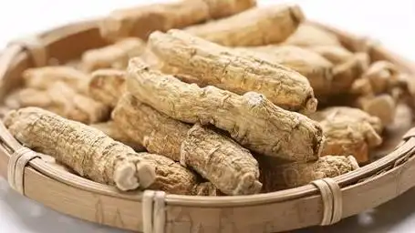 西洋参食用指南