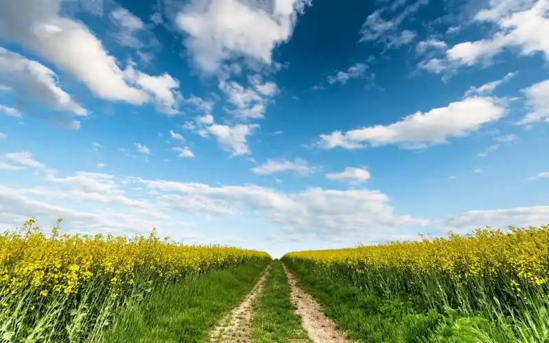 春天自然美景高清桌面壁纸-风景壁纸-手机壁纸下载-美桌网