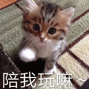 表情包丨比心表情包可爱动图怎么做0524期