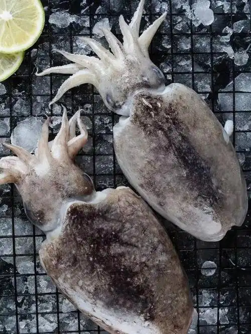 野生墨鱼适合白灼生炒500g