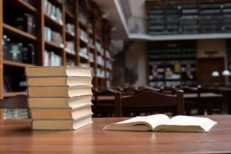 堆放,书本,图书馆,大厅,浅,景深