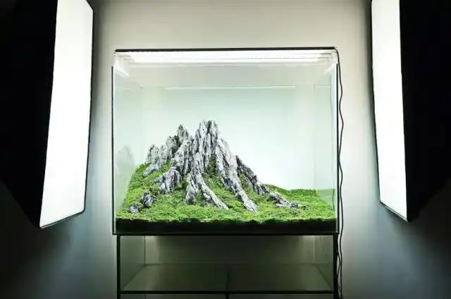 60cm以内小缸山景作品-草缸造景