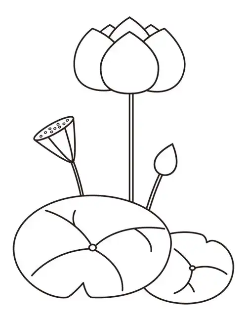 荷花简笔画
