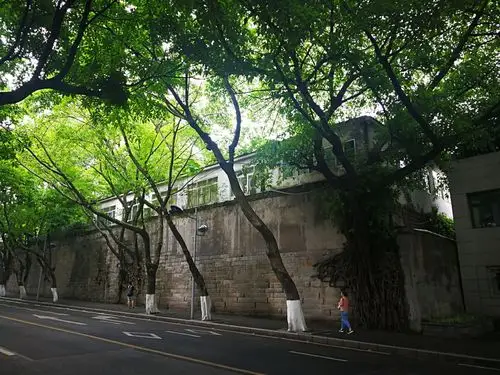 2019中山四路-旅游攻略-门票-地址-问答-游记点评,重庆旅游旅游景点