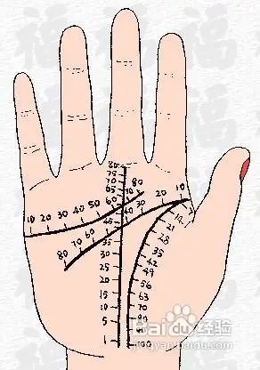 手相图解算命