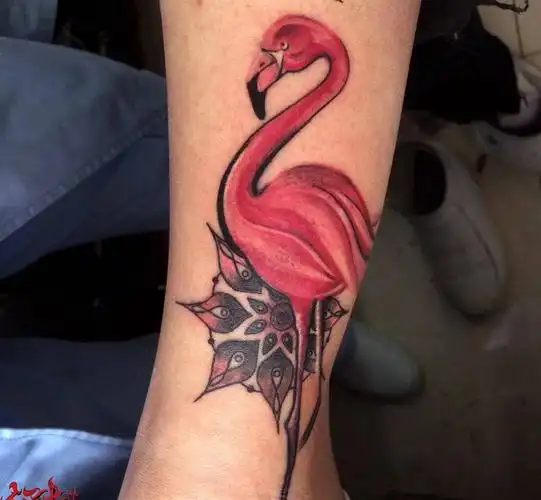 粉红色火烈鸟纹身图片