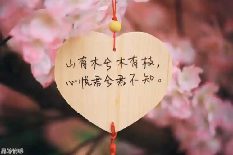 抖音超火的情感文案